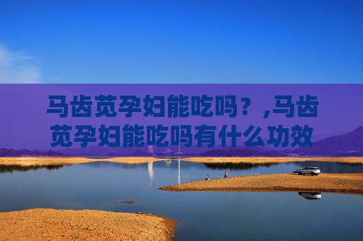 马齿苋孕妇能吃吗？,马齿苋孕妇能吃吗有什么功效