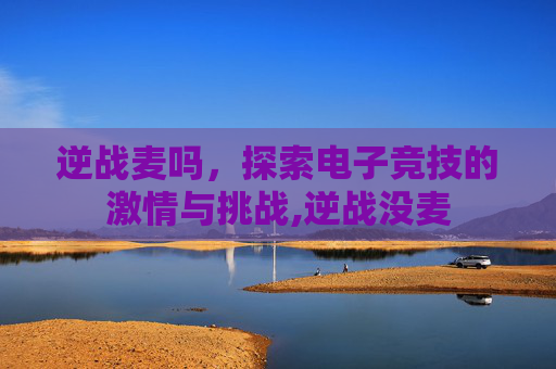 逆战麦吗，探索电子竞技的激情与挑战,逆战没麦