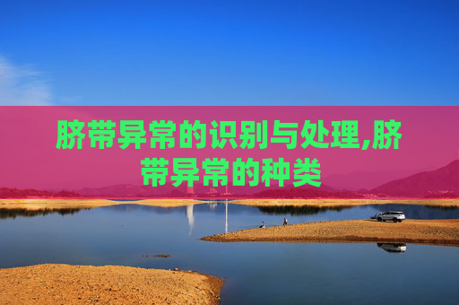 脐带异常的识别与处理,脐带异常的种类