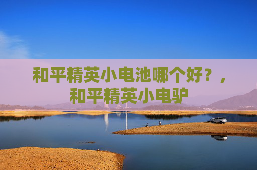 和平精英小电池哪个好？,和平精英小电驴