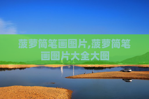 菠萝简笔画图片,菠萝简笔画图片大全大图