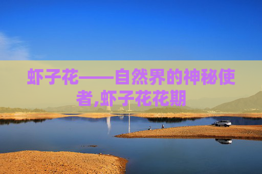 虾子花——自然界的神秘使者,虾子花花期