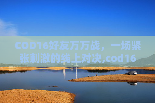 COD16好友万万战，一场紧张刺激的线上对决,cod16好友不显示