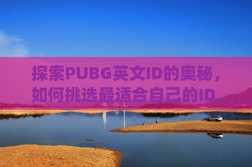 探索PUBG英文ID的奥秘，如何挑选最适合自己的ID,pubg英文昵称