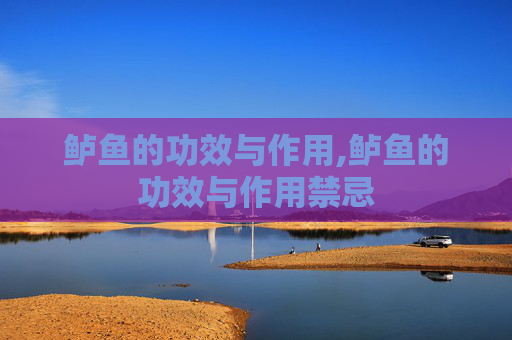 鲈鱼的功效与作用,鲈鱼的功效与作用禁忌