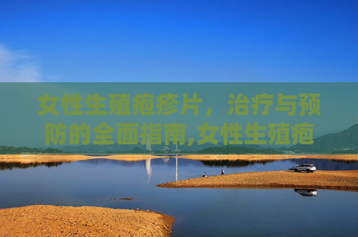 女性生殖疱疹片，治疗与预防的全面指南,女性生殖疱疹吃什么药最好