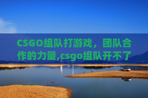 CSGO组队打游戏，团队合作的力量,csgo组队开不了游戏