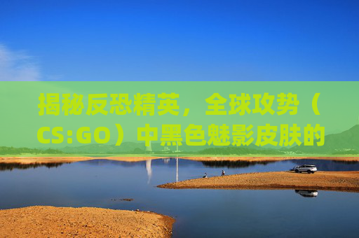 揭秘反恐精英，全球攻势（CS:GO）中黑色魅影皮肤的价格之谜,csgo的黑色魅影多少钱一把