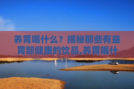 养胃喝什么？揭秘那些有益胃部健康的饮品,养胃喝什么汤最好
