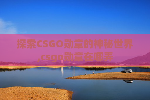 探索CSGO勋章的神秘世界,csgo勋章在哪弄
