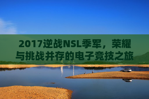 2017逆战NSL季军，荣耀与挑战并存的电子竞技之旅,逆战nsl总决赛