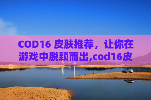 COD16 皮肤推荐，让你在游戏中脱颖而出,cod16皮肤大全