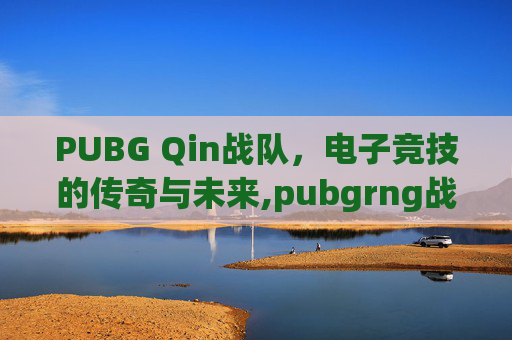 PUBG Qin战队，电子竞技的传奇与未来,pubgrng战队