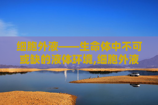 细胞外液——生命体中不可或缺的液体环境,细胞外液包括哪些