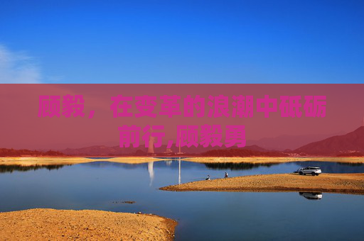 顾毅，在变革的浪潮中砥砺前行,顾毅勇