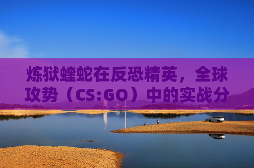 炼狱蝰蛇在反恐精英，全球攻势（CS:GO）中的实战分析,炼狱蝰蛇v3