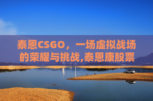 泰恩CSGO，一场虚拟战场的荣耀与挑战,泰恩康股票