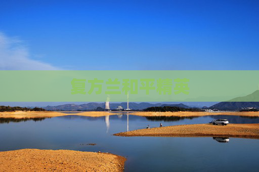 复方兰和平精英