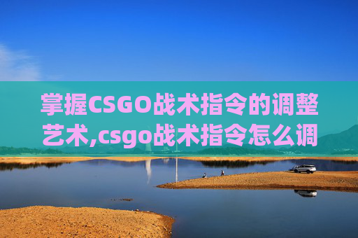 掌握CSGO战术指令的调整艺术,csgo战术指令怎么调出来