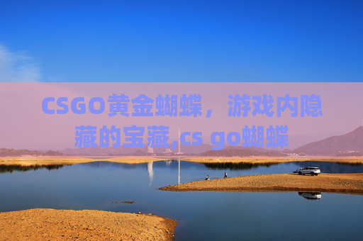 CSGO黄金蝴蝶，游戏内隐藏的宝藏,cs go蝴蝶