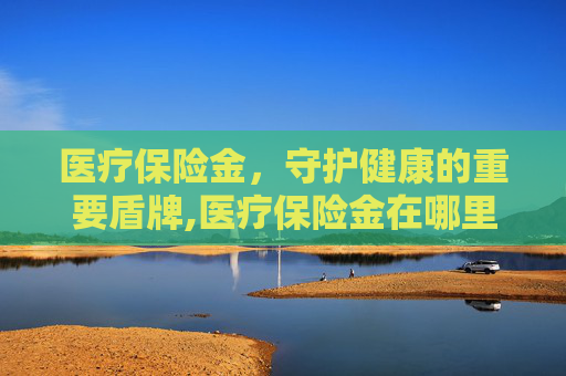 医疗保险金，守护健康的重要盾牌,医疗保险金在哪里查询