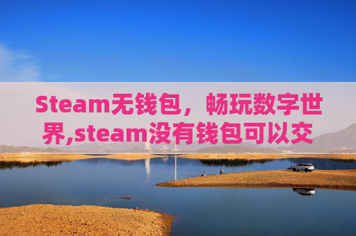 Steam无钱包，畅玩数字世界,steam没有钱包可以交易报价吗