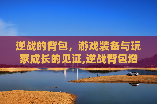 逆战的背包，游戏装备与玩家成长的见证,逆战背包增伤排名
