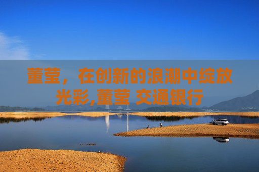 董莹，在创新的浪潮中绽放光彩,董莹 交通银行