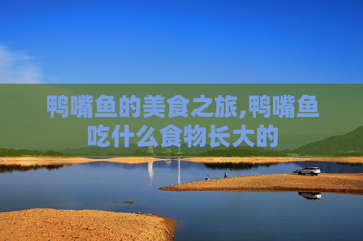 鸭嘴鱼的美食之旅,鸭嘴鱼吃什么食物长大的