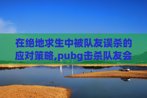 在绝地求生中被队友误杀的应对策略,pubg击杀队友会封号吗