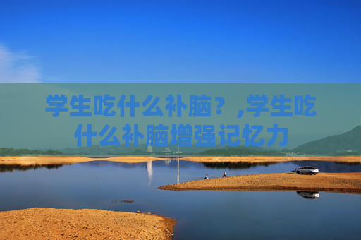 学生吃什么补脑？,学生吃什么补脑增强记忆力