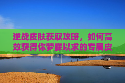 逆战皮肤获取攻略，如何高效获得你梦寐以求的专属皮肤？,逆战新手套皮肤