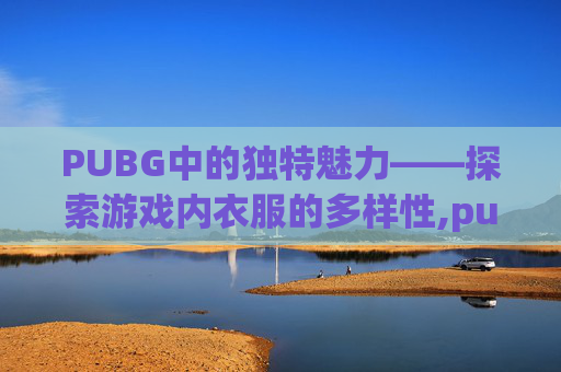 PUBG中的独特魅力——探索游戏内衣服的多样性,pubg里的衣服怎么赠送给好友