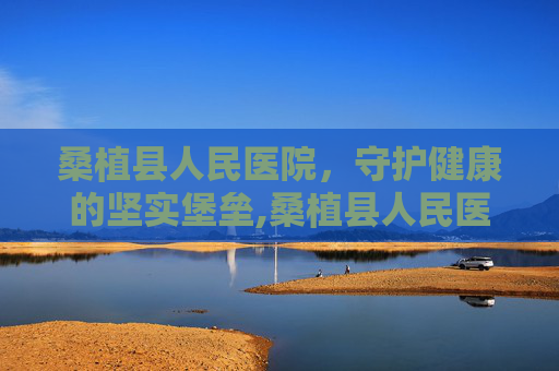 桑植县人民医院，守护健康的坚实堡垒,桑植县人民医院官网