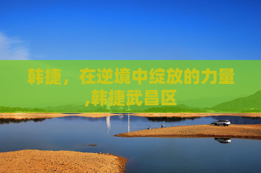 韩捷，在逆境中绽放的力量,韩捷武昌区