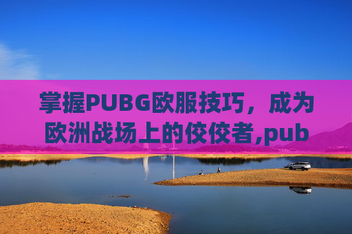 掌握PUBG欧服技巧，成为欧洲战场上的佼佼者,pubg怎么玩欧服