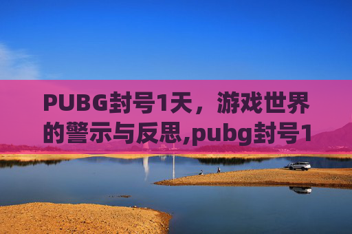 PUBG封号1天，游戏世界的警示与反思,pubg封号1天