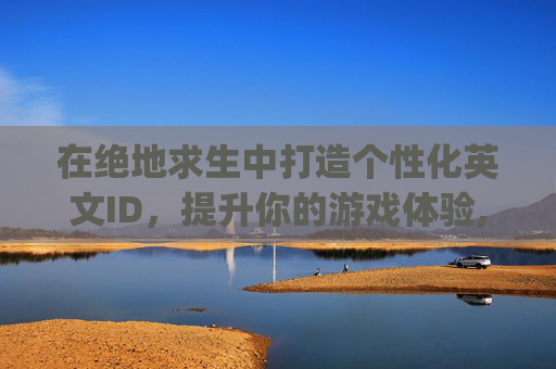 在绝地求生中打造个性化英文ID，提升你的游戏体验,pubg好听的英文id