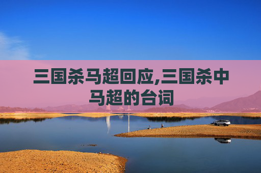 三国杀马超回应,三国杀中马超的台词