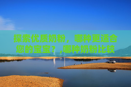 探索优质奶粉，哪种更适合您的宝宝？,哪种奶粉比较好吸收不涨气