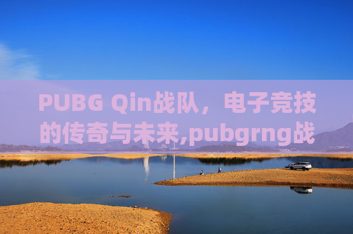 PUBG Qin战队，电子竞技的传奇与未来,pubgrng战队