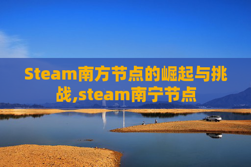 Steam南方节点的崛起与挑战,steam南宁节点
