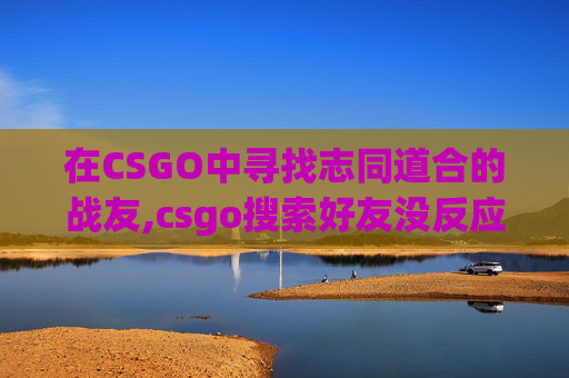 在CSGO中寻找志同道合的战友,csgo搜索好友没反应