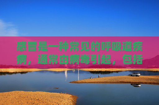 感冒是一种常见的呼吸道疾病，通常由病毒引起，包括多种不同的类型。了解不同类型的感冒有助于我们更好地理解其症状、传播方式和治疗方法。以下是几种常见的感冒分类及其特点。,感冒分类及症状