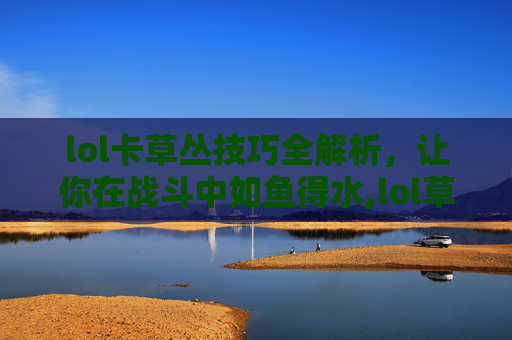 lol卡草丛技巧全解析，让你在战斗中如鱼得水,lol草丛卡视野