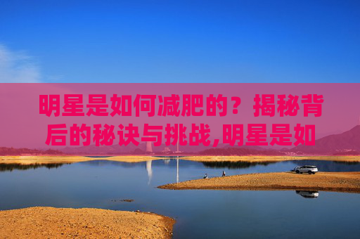 明星是如何减肥的？揭秘背后的秘诀与挑战,明星是如何减肥的呢