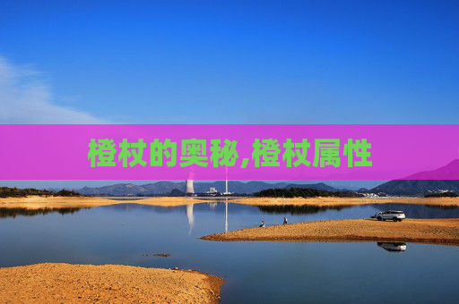 橙杖的奥秘,橙杖属性