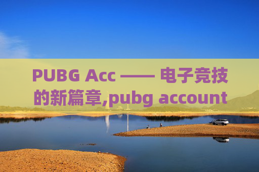 PUBG Acc —— 电子竞技的新篇章,pubg account