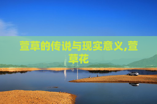 萱草的传说与现实意义,萱草花