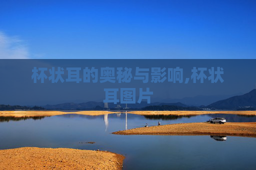 杯状耳的奥秘与影响,杯状耳图片
